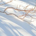 Rêver de neige qui tombe